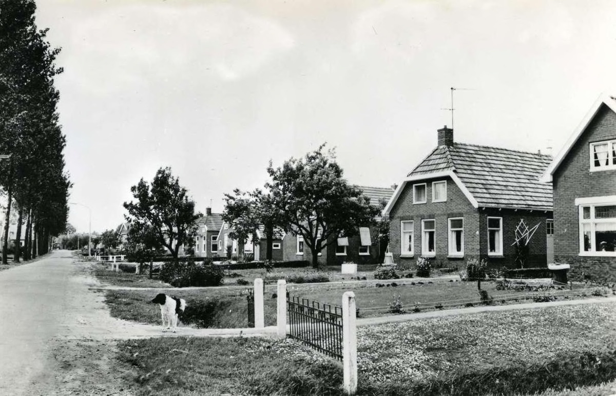 Zwaagweg te Woldendorp, ansichtkaart, vervaardiger Jos Pé in 1960. Bron: RHCGA, Groninger Archieven, Beeldbank Groningen.